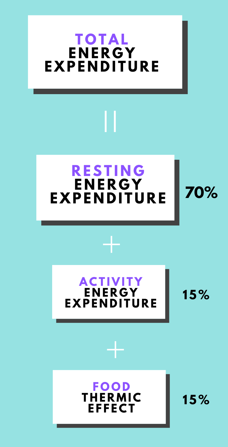 total energy expenditure