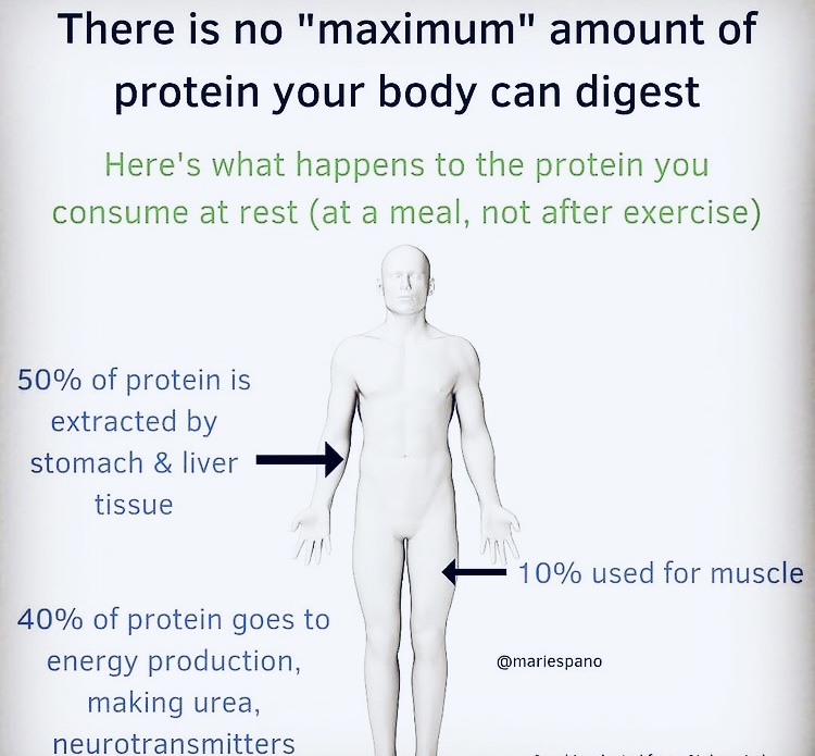 maximum amount or protein 